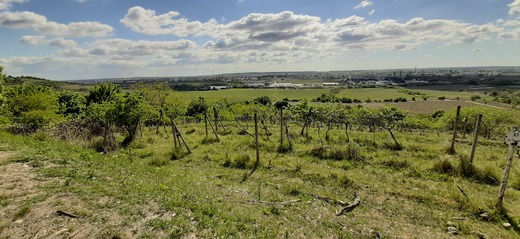 Pezinok - Pezinská Baba